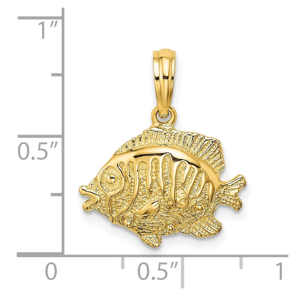 14K Polished /Textured Fish Charm