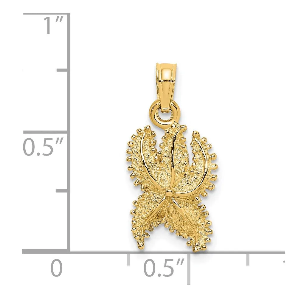 14K Textured Starfish Charm