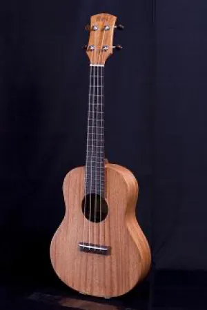 AYERS Uluru I ( Soprano ) Ukulele