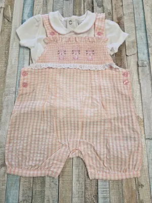 Baby Girls Pink And White Gingham Checked Bunny Dungaree Set