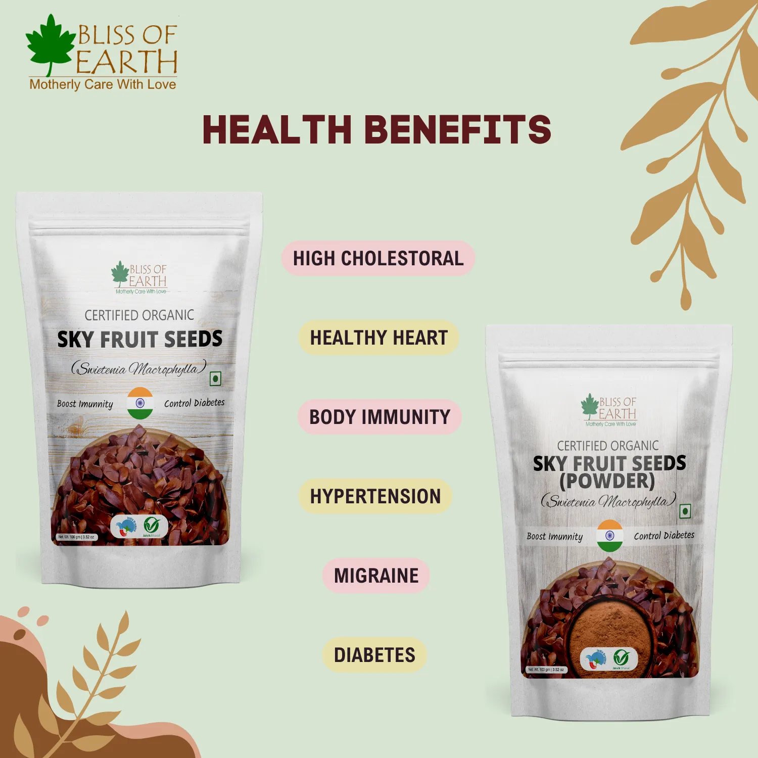 Bliss of Earth Sky Fruit Seeds, Swietenia Macrophylla, Mahogany Seeds, Kadwa Badam Best for Diabetes and Immunity 100GM