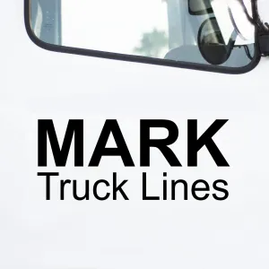 Bold Top 2 Line Decal (Very Popular), 2 Pack