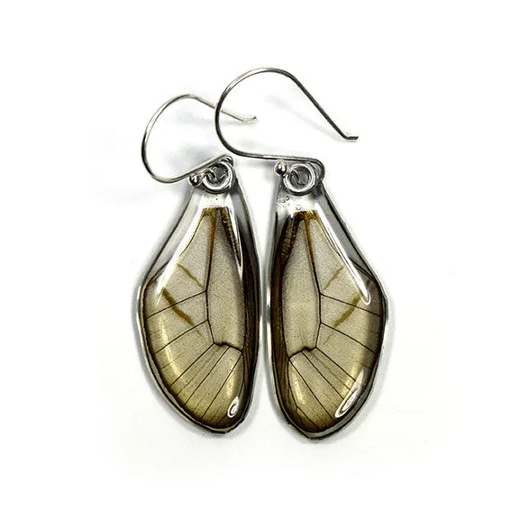 Butterfly earrings, Pink Glasswing Butterfly. top wings