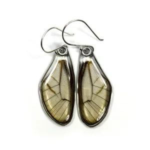 Butterfly earrings, Pink Glasswing Butterfly. top wings