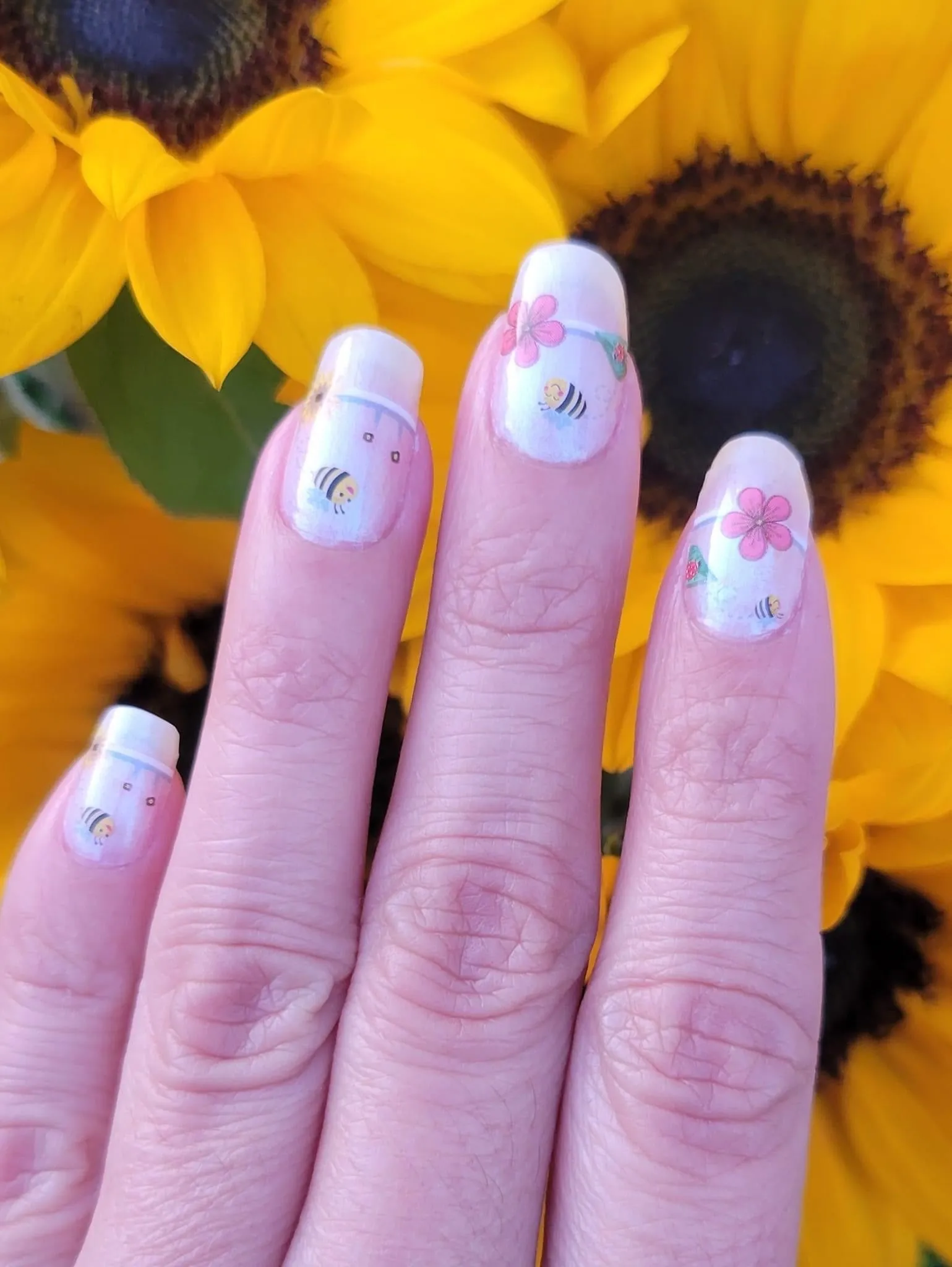 Clearly Spring (Transparent)