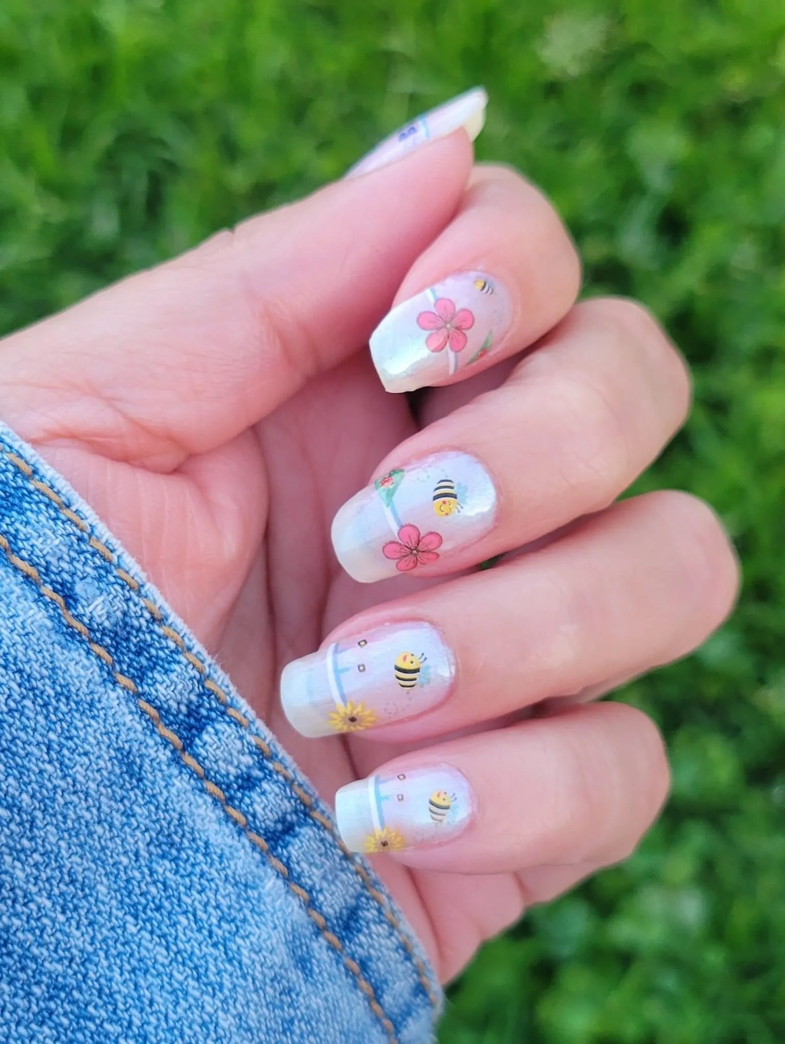 Clearly Spring (Transparent)