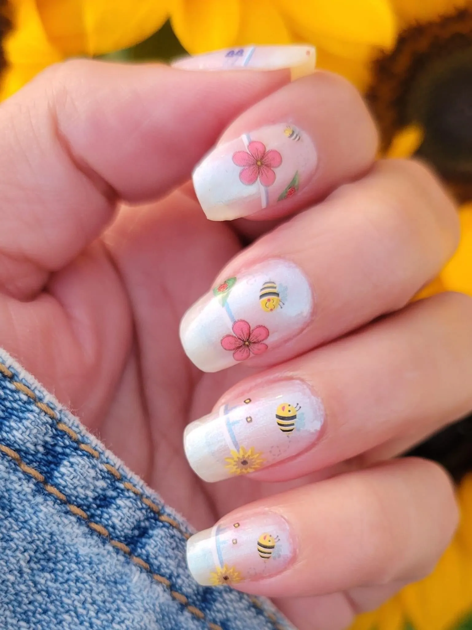 Clearly Spring (Transparent)