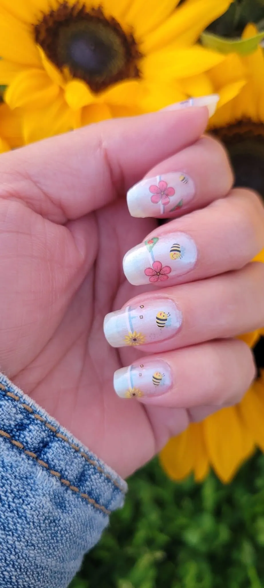 Clearly Spring (Transparent)