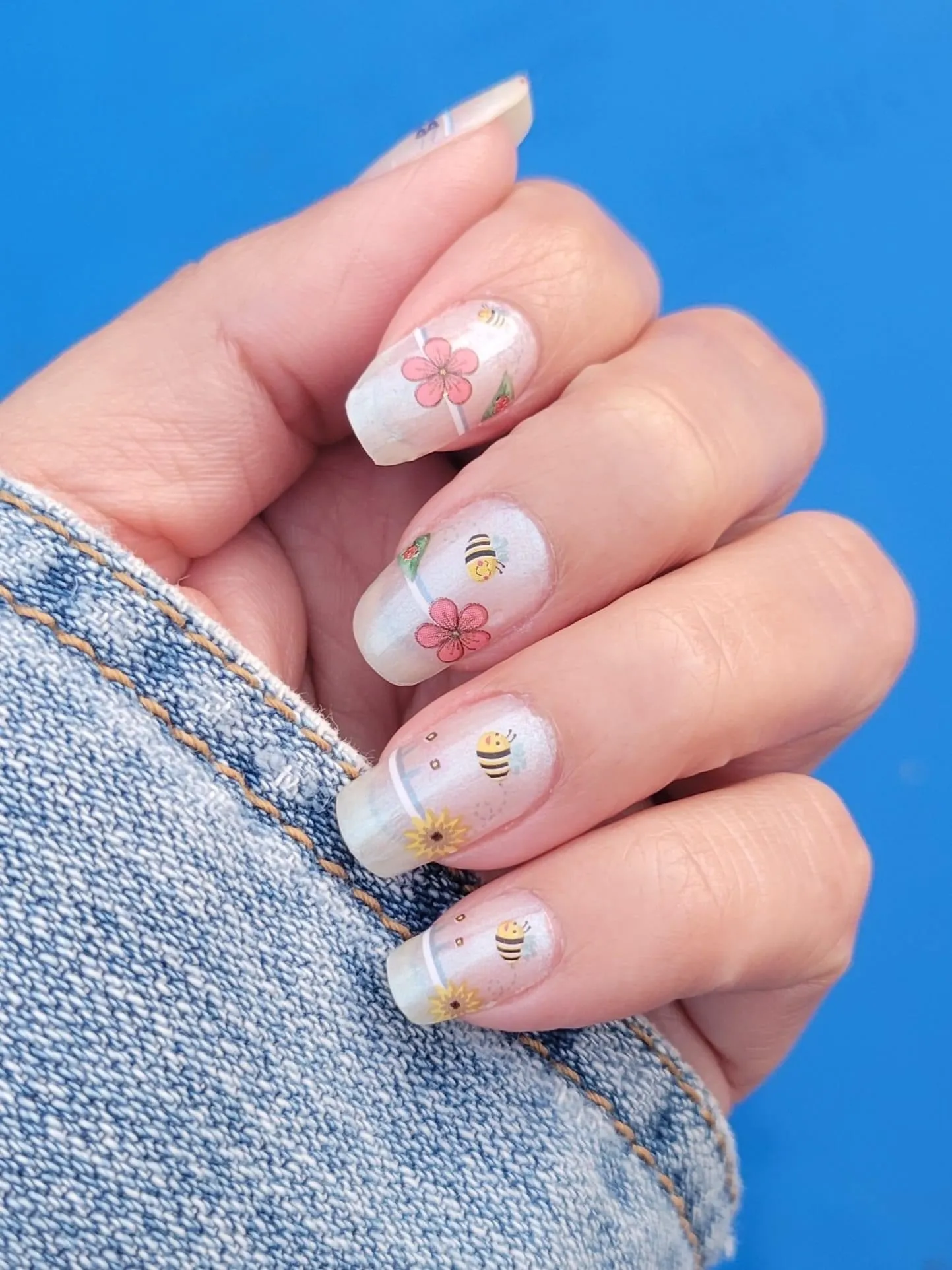 Clearly Spring (Transparent)