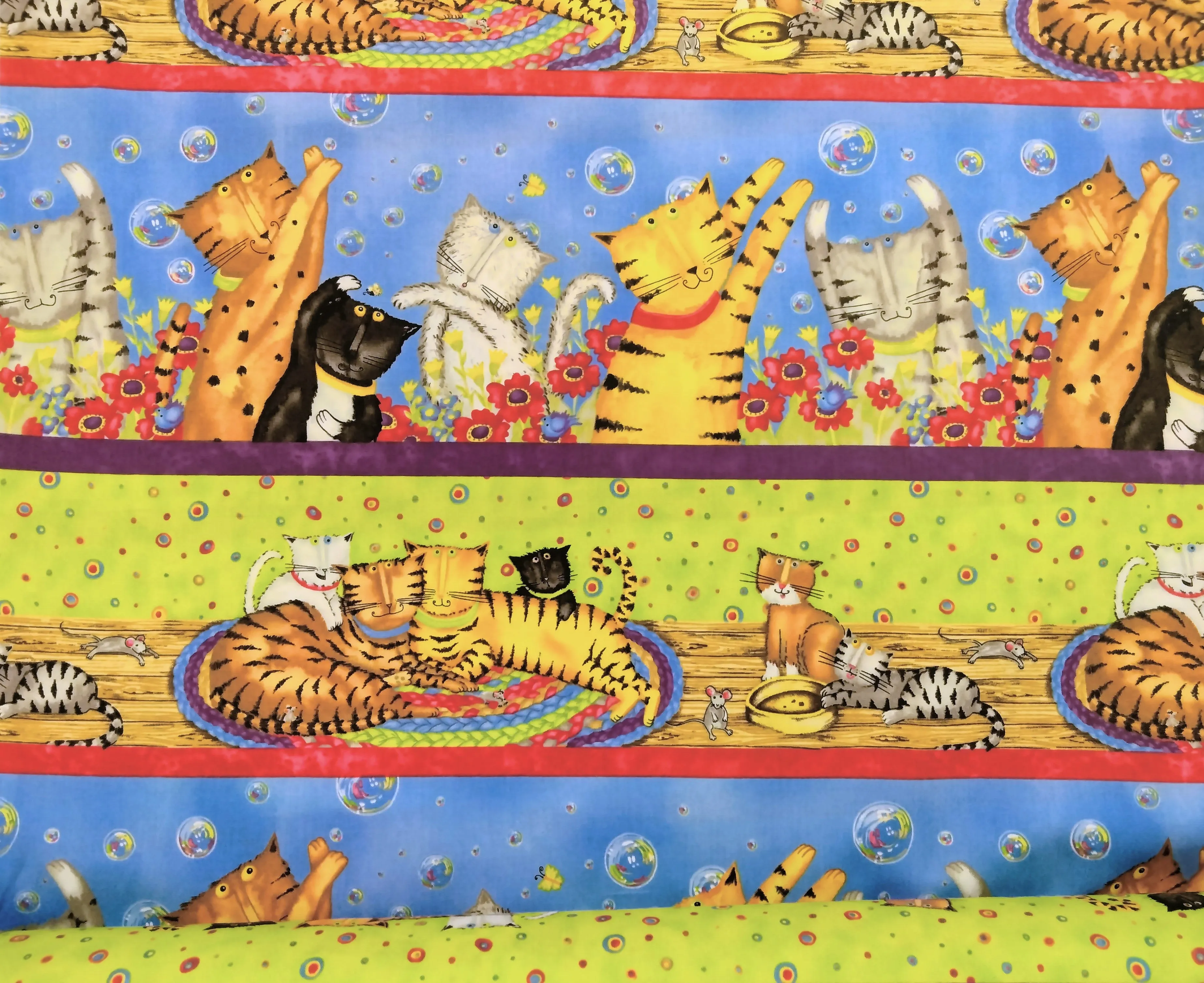 Crazy Cats Multi - (2)