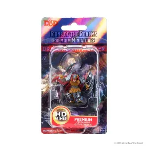D&D Premium Painted Miniature: Male Dragonborn Fighter
