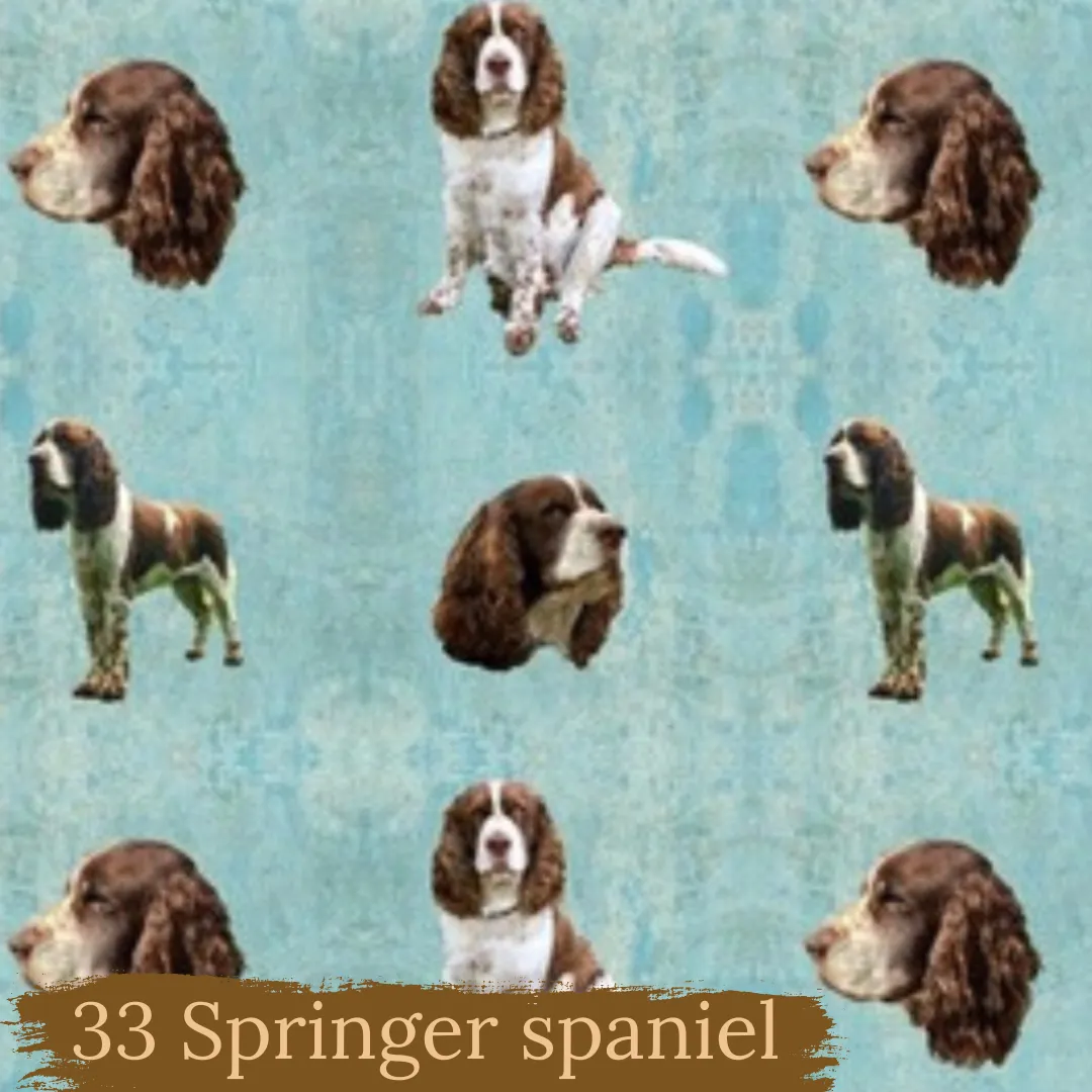 Dog breeds cable knit topped romper