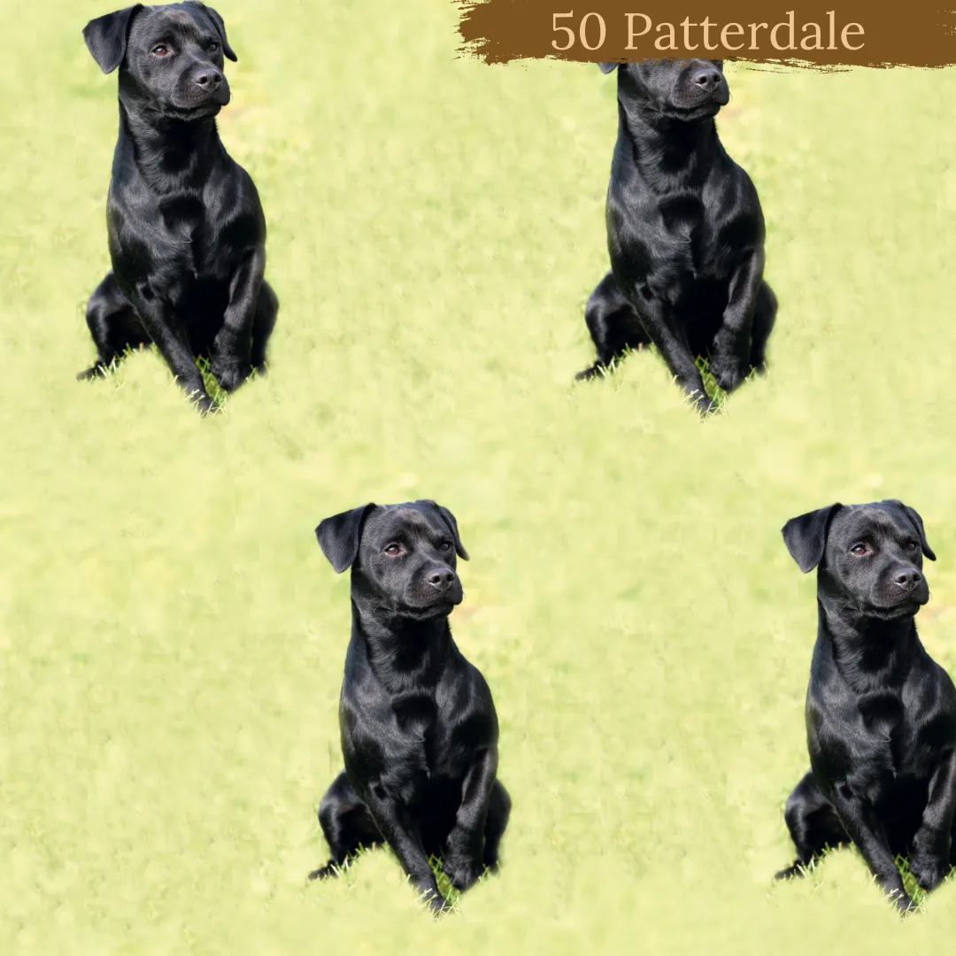 Dog breeds cable knit topped romper