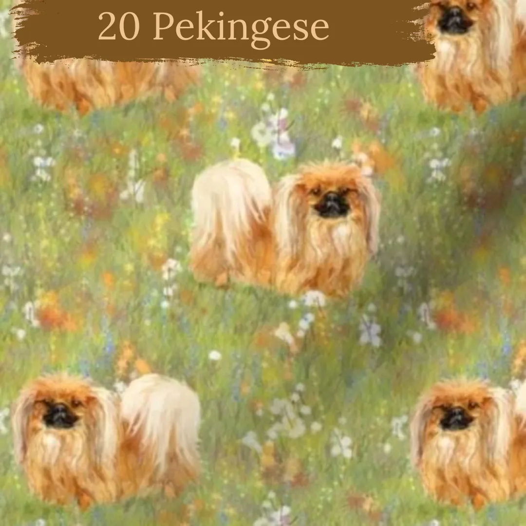 Dog breeds cable knit topped romper