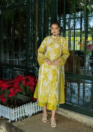 Elaf Prints Collection '25 | EPE-08B