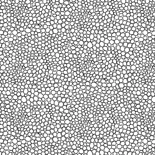 Fantasy Garden White/Black