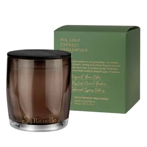 Fig Leaf, Cypress, Cedarwood, Moss Scented Soy Candle | 400gm