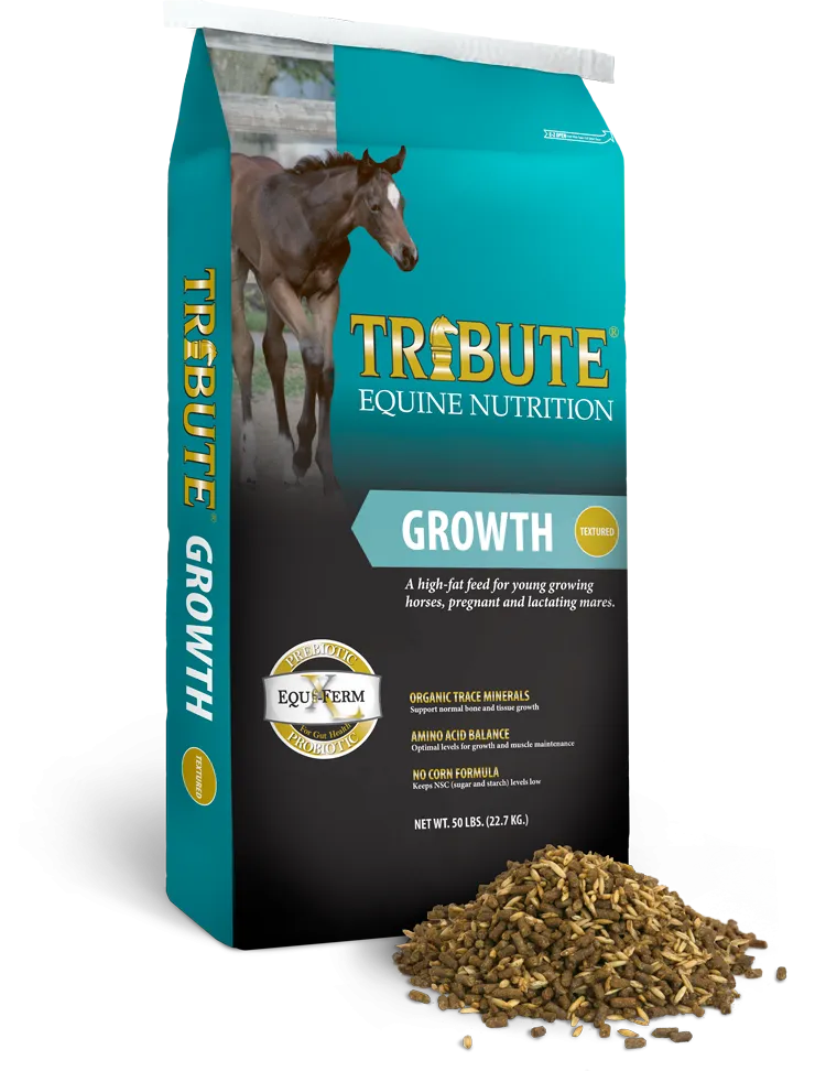 Growth Textured      T916GRO