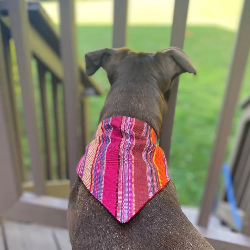 Hand woven Dog Bandana | Berry Jubilee