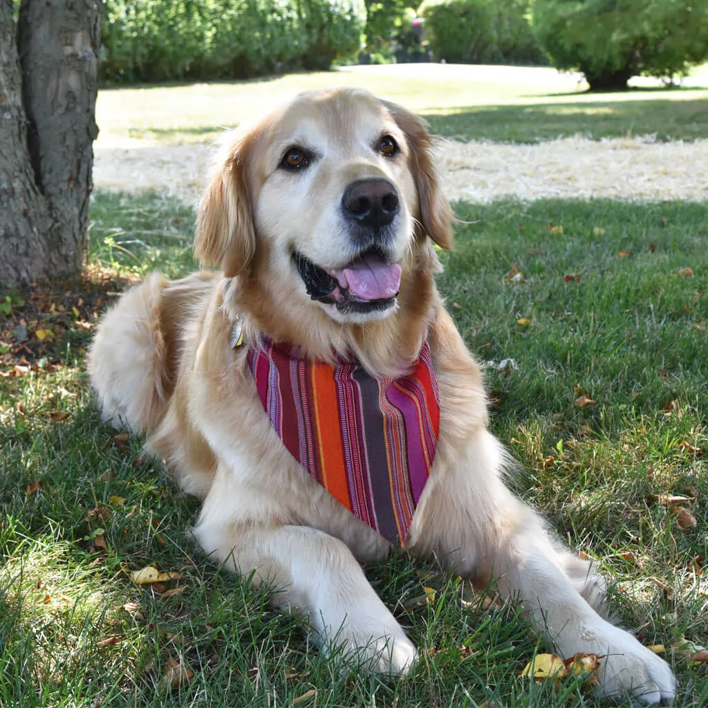 Hand woven Dog Bandana | Berry Jubilee