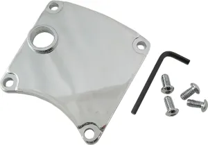 HardDrive 210244 Inspection Cover - Polished