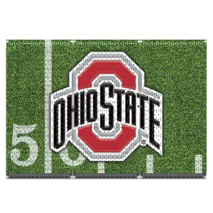 HWC13089 - Ohio State Buckeyes | (3 Panels) | 48" x 32" (tall) | Printed Pegboards | Collegiate