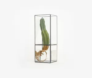 Hydro 175:100 Terrarium