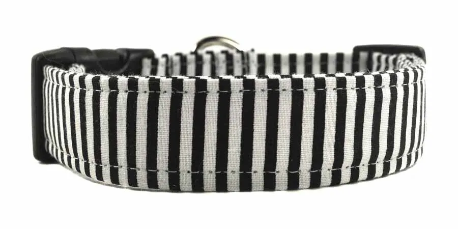Indy Dog Collar