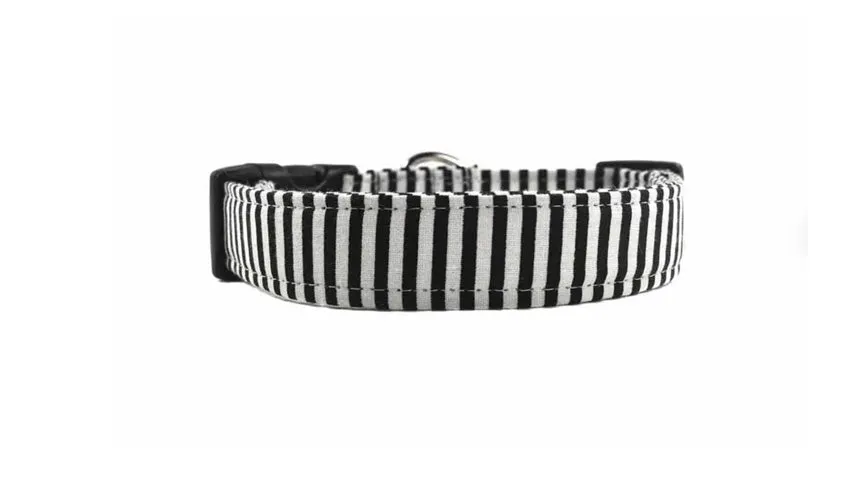 Indy Dog Collar