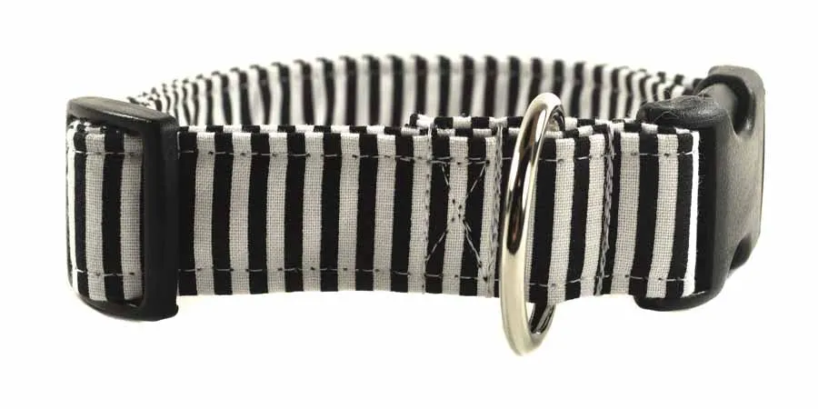 Indy Dog Collar