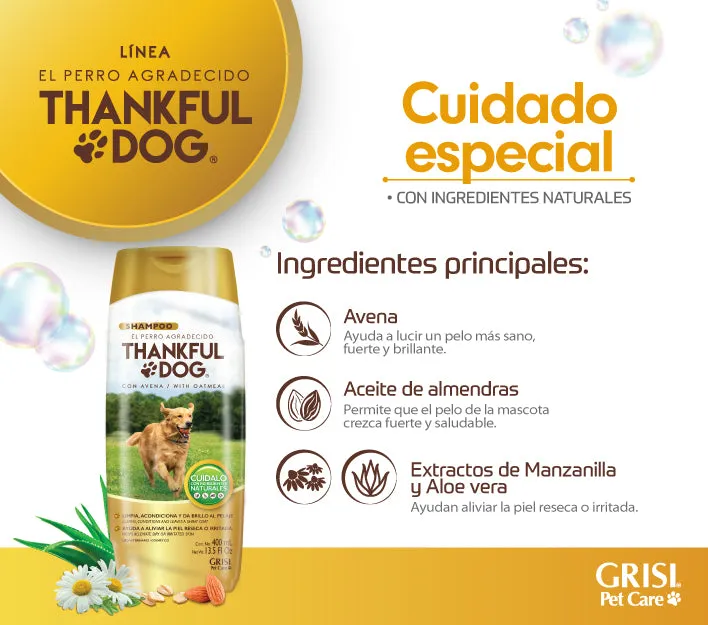 Kit Thankful Dog, Shampoo   Jabón   Spray Deodorizante