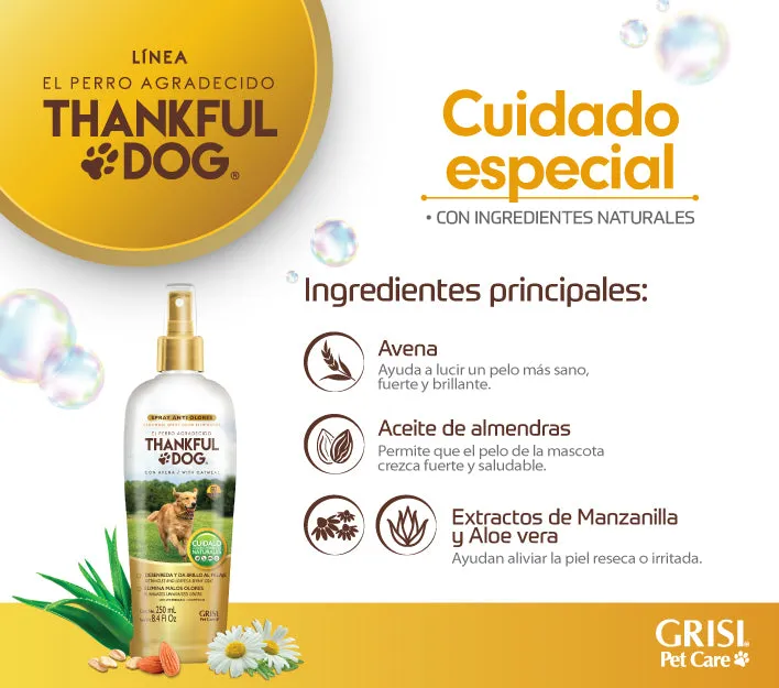 Kit Thankful Dog, Shampoo   Jabón   Spray Deodorizante