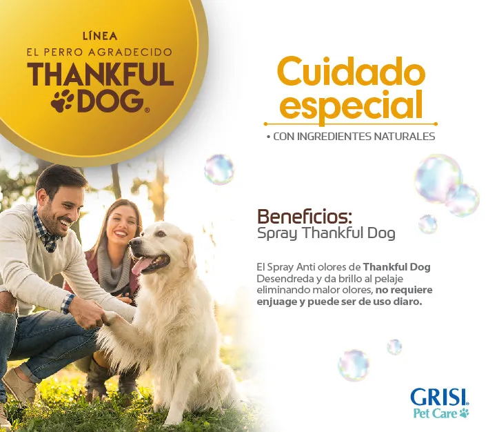 Kit Thankful Dog, Shampoo   Jabón   Spray Deodorizante