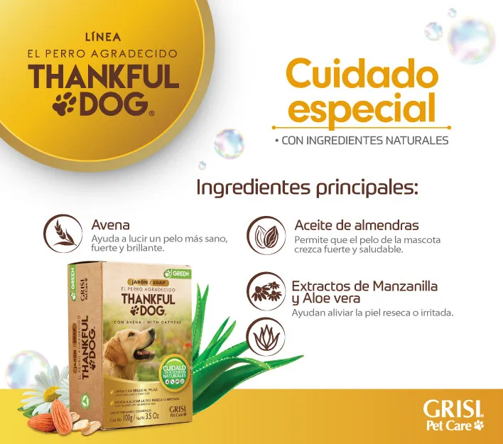 Kit Thankful Dog, Shampoo   Jabón   Spray Deodorizante