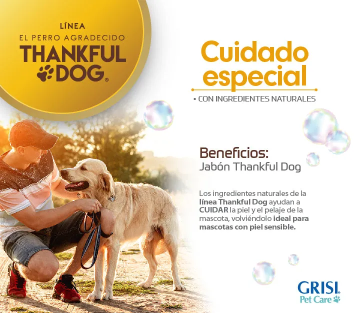 Kit Thankful Dog, Shampoo   Jabón   Spray Deodorizante