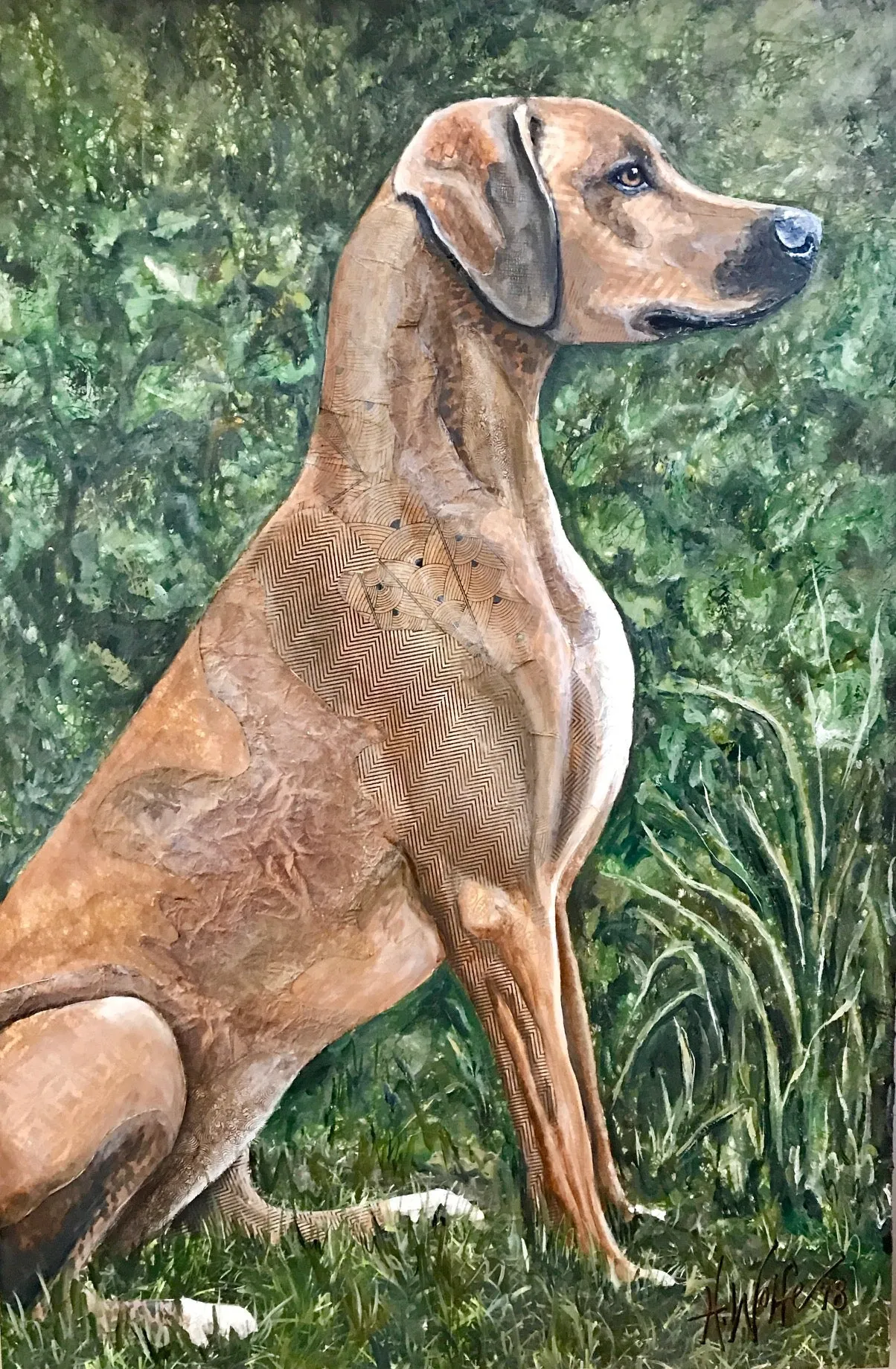 Liberty - Rhodesian Ridgeback