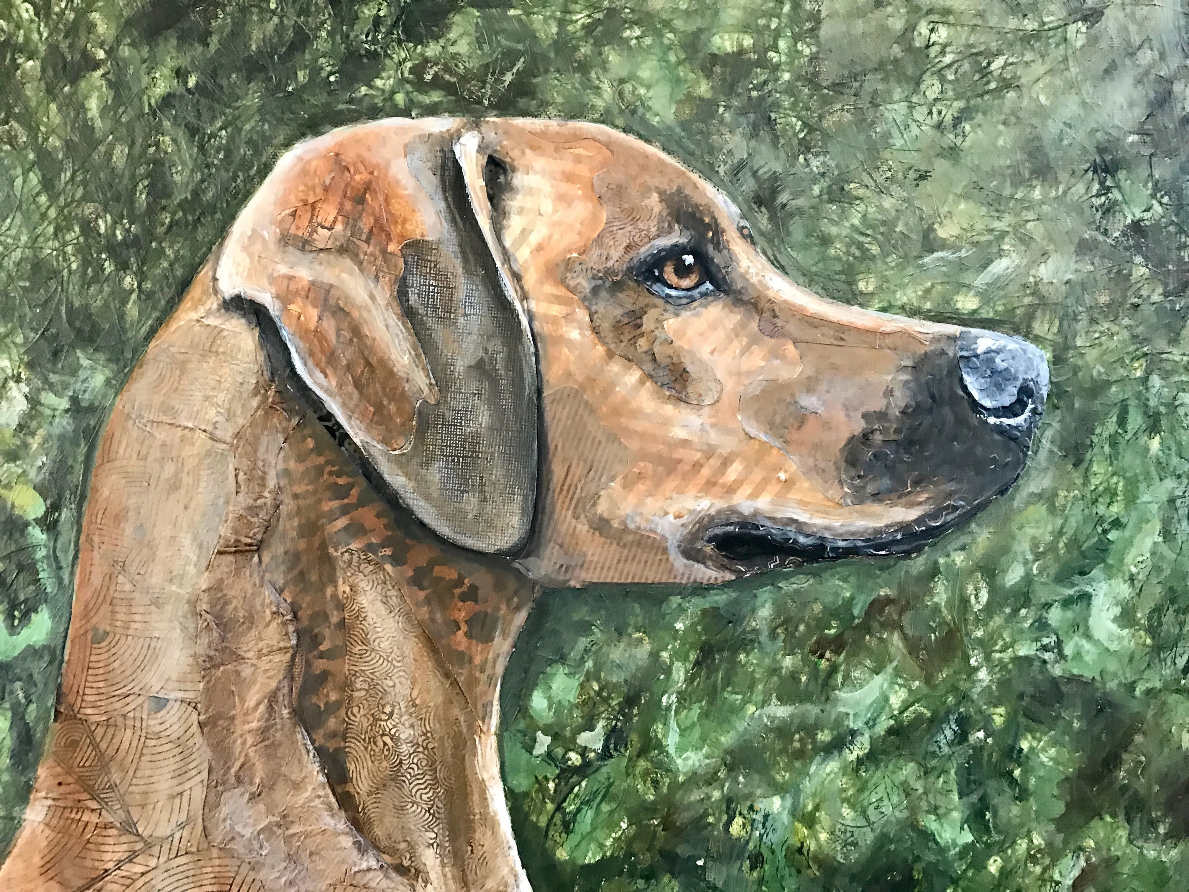 Liberty - Rhodesian Ridgeback