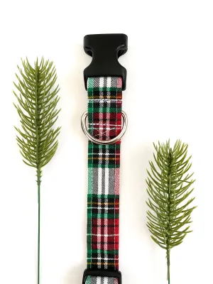 Merry and Bright Dog Collar