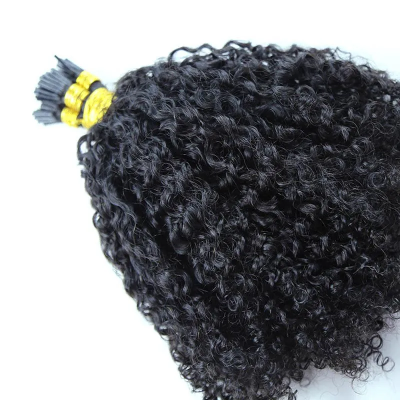 Natural Color Multi-Textured Kinky Curly I Tip Hair Extension