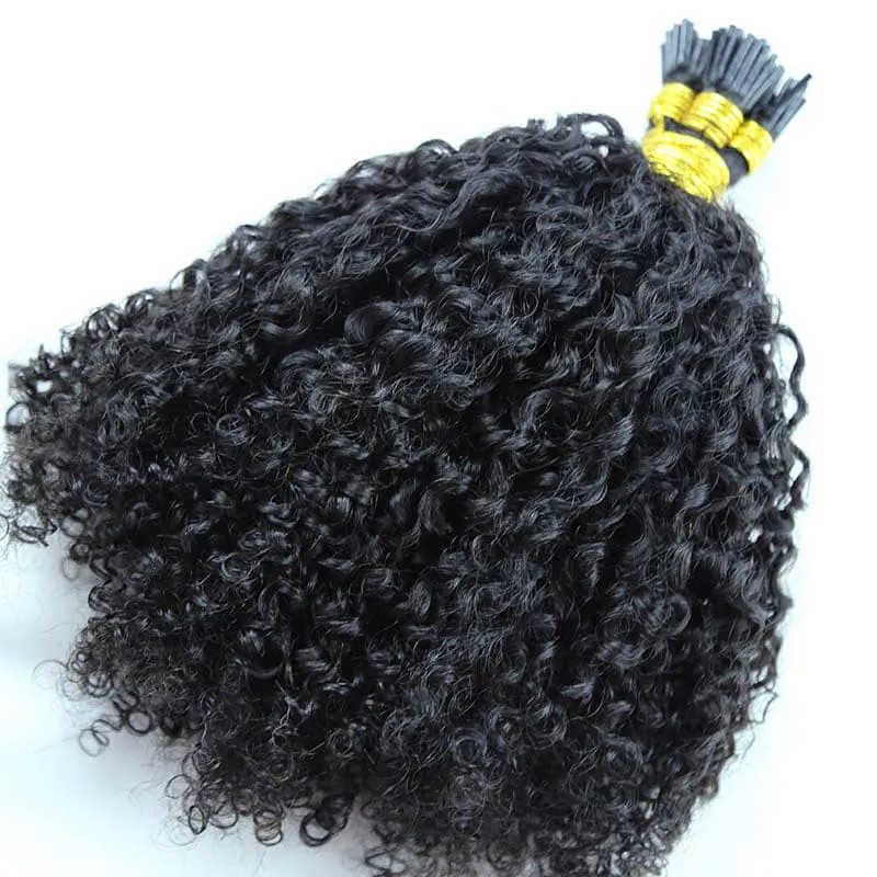 Natural Color Multi-Textured Kinky Curly I Tip Hair Extension