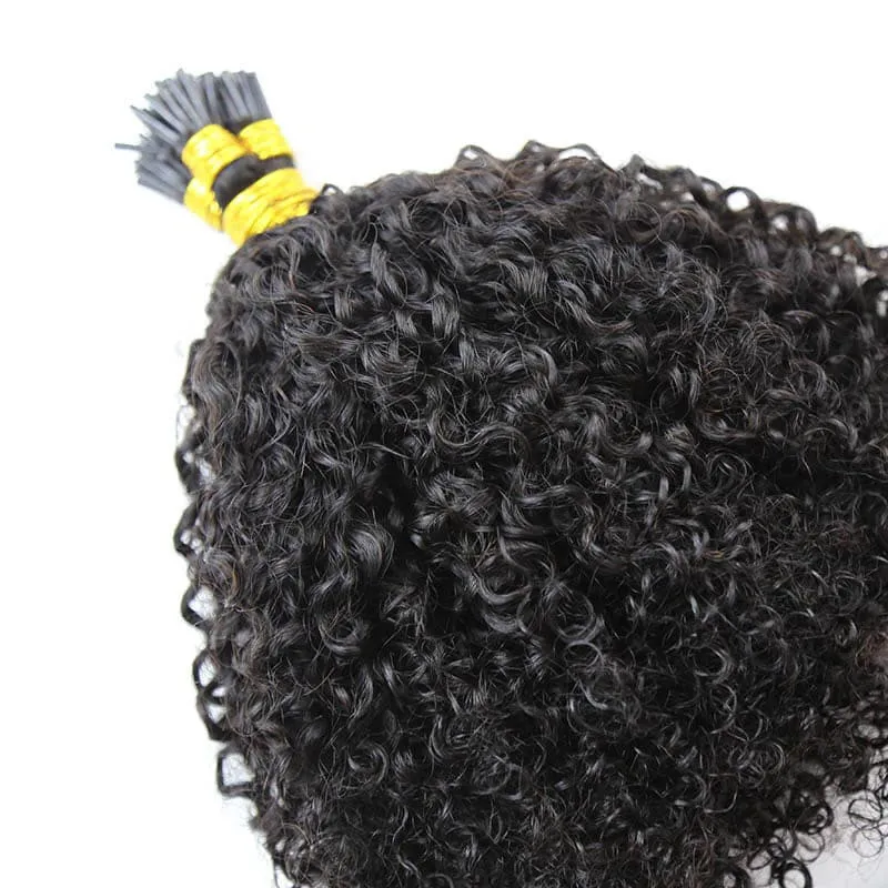 Natural Color Multi-Textured Kinky Curly I Tip Hair Extension