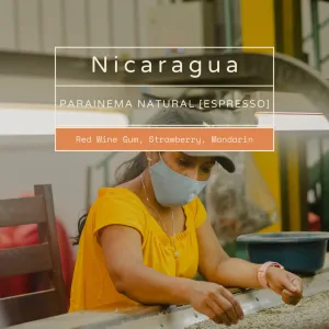 Nicaragua - Parainema Natural [Espresso]
