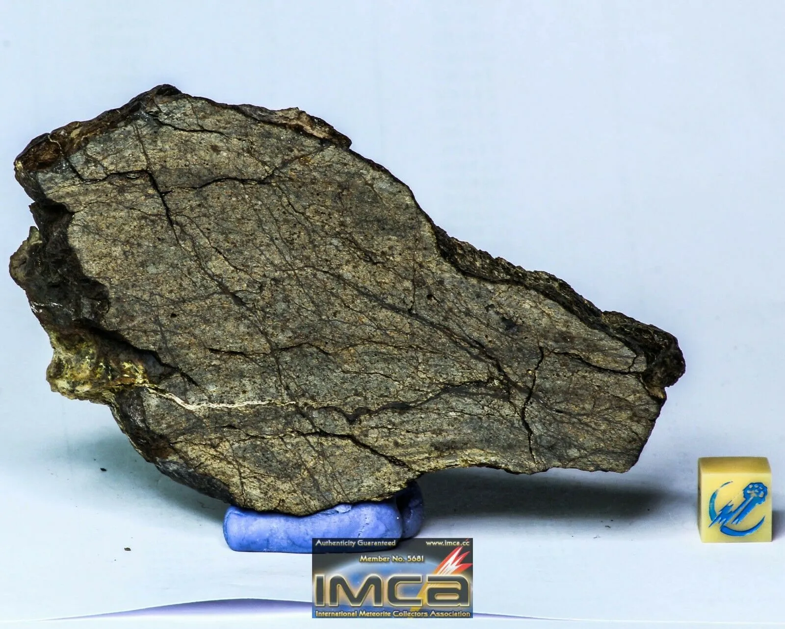 Order Adam Winter. Trilobites   Meteorites