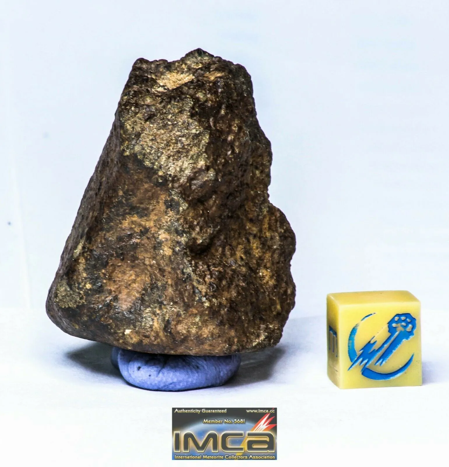 Order Adam Winter. Trilobites   Meteorites