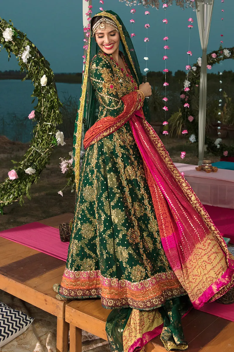 Pakistani Designer Mehndi Wear #Y6061