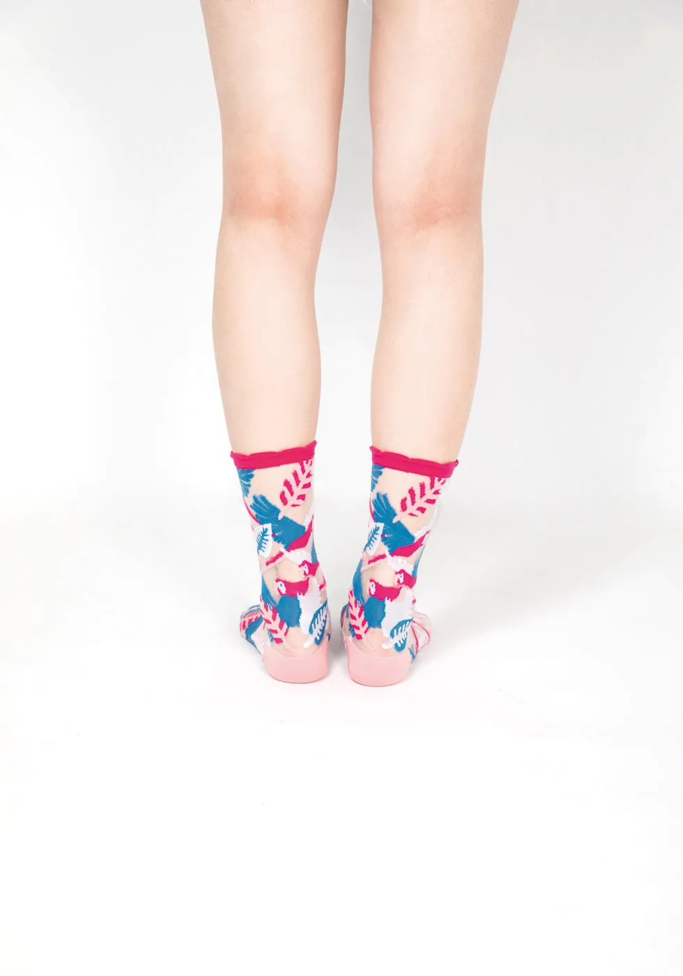 Parrot Sheer Socks – Pink Cuff