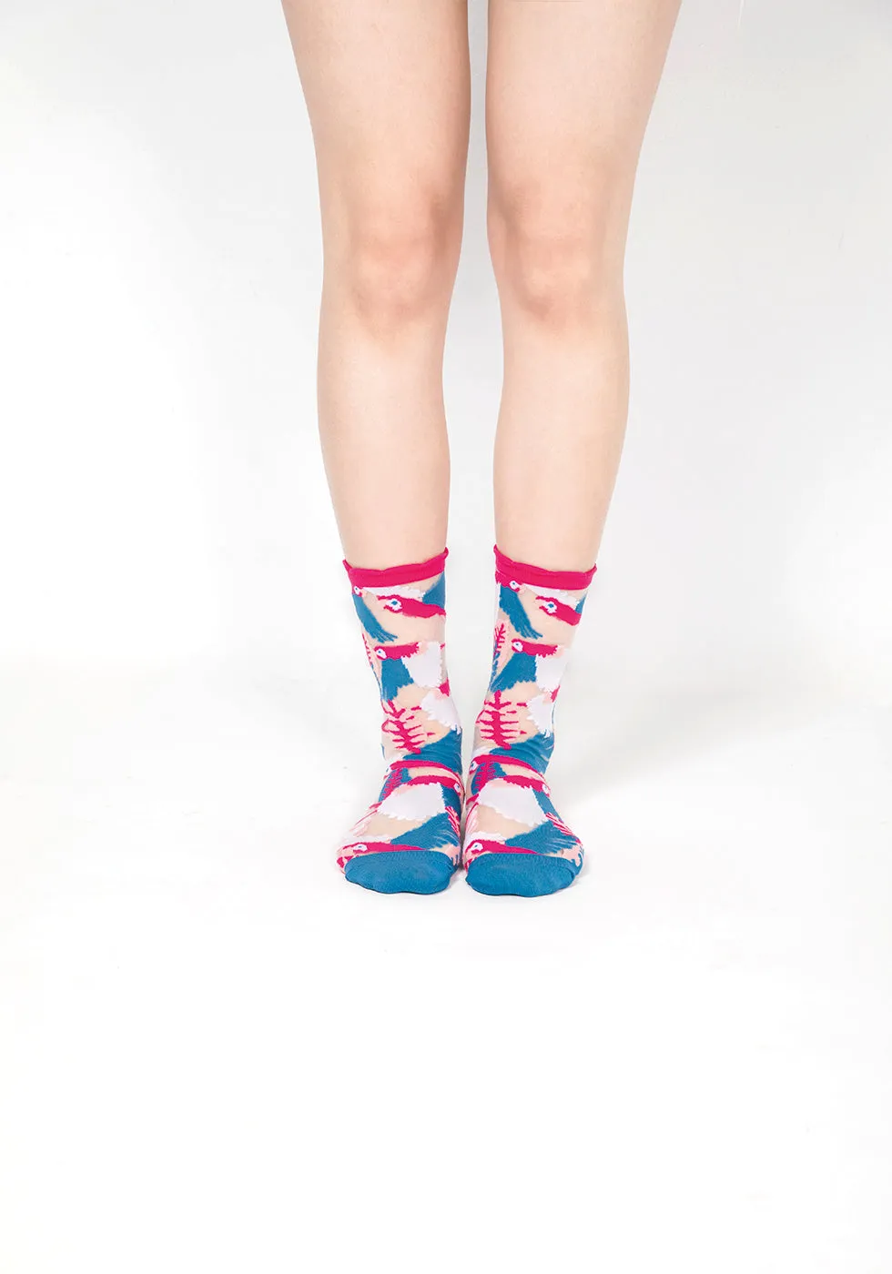 Parrot Sheer Socks – Pink Cuff