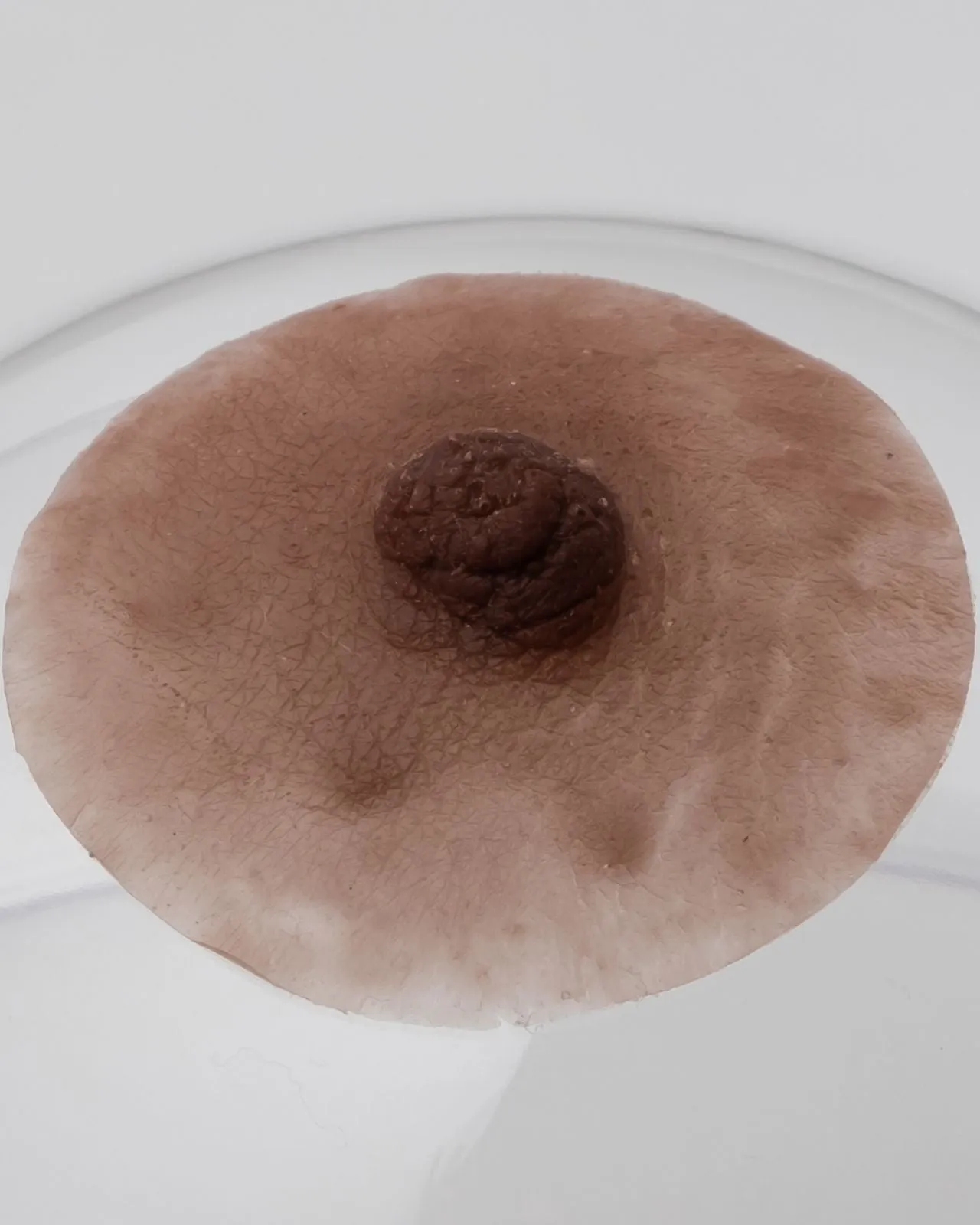 Pink Perfect Bold Nipples with Adhesive