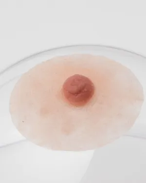 Pink Perfect Bold Nipples with Adhesive