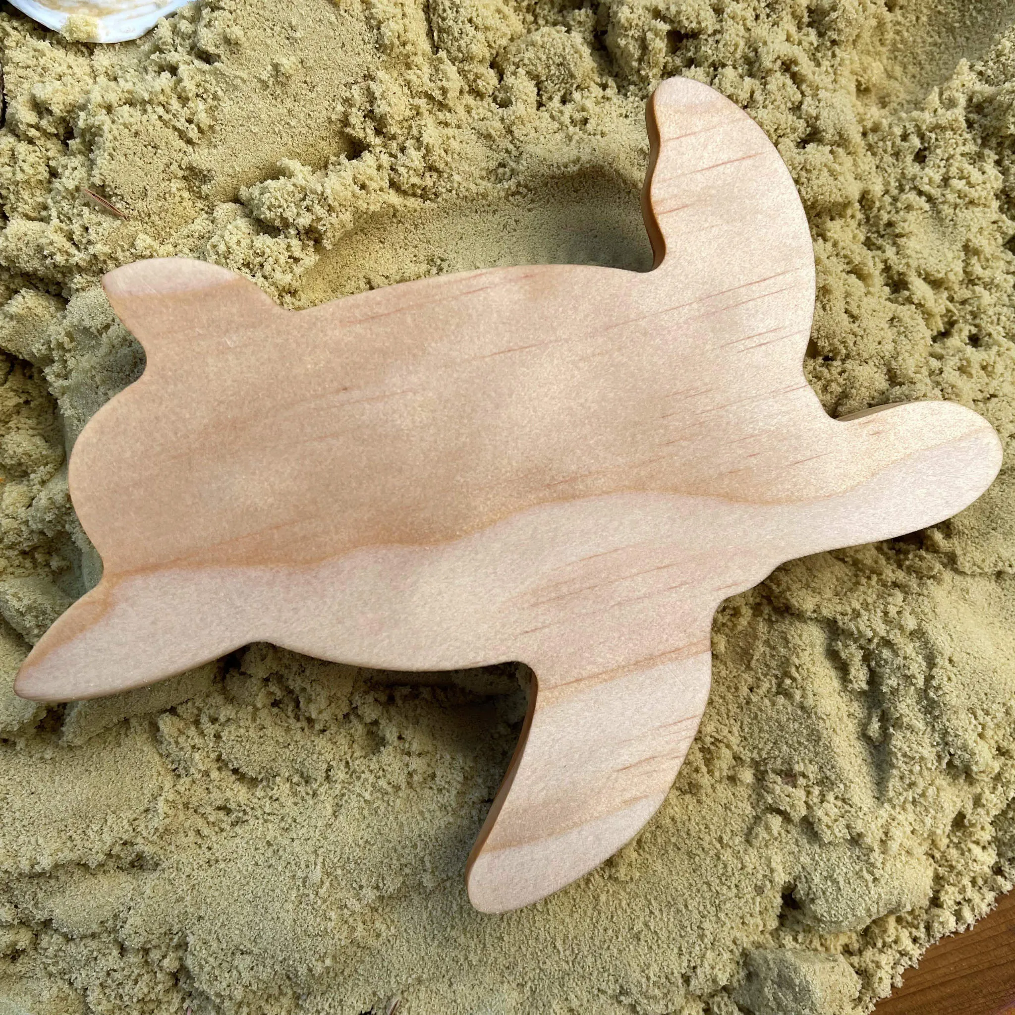 Premium Wooden Turtle